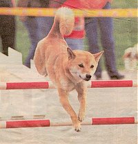 Agility